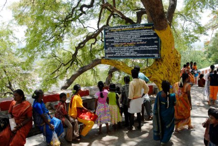 Téléchargez les photos : Dévots regardant le singe Palani colline ; Tamil Nadu ; Inde - en image libre de droit
