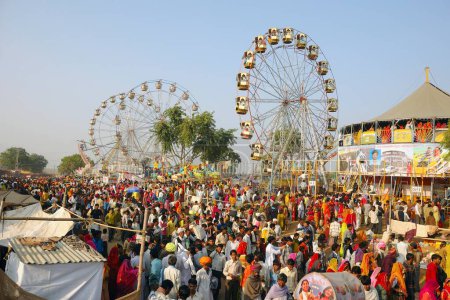 Photo for View of Pushkar fair, Rajasthan, India - Royalty Free Image
