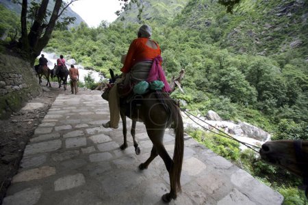 Téléchargez les photos : Trekking des dévots, sanctuaire sikhs Shri Hemkund Sahib situé (4320 mètres de haut) à Govind ghat qui est la porte d'entrée de la vallée de Bhvundar ou Lakshman Ganga, Uttaranchal, Inde - en image libre de droit