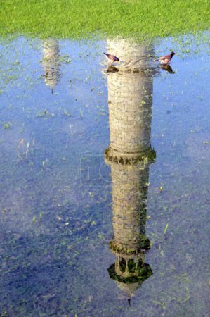 Photo for Minaret of taj mahal in agra at uttar pradesh India - Royalty Free Image