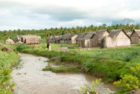 Téléchargez les photos : Cabanes dans les ghats occidentaux près de udumalaipettai, Udumalpet, Tamil Nadu, Inde - en image libre de droit