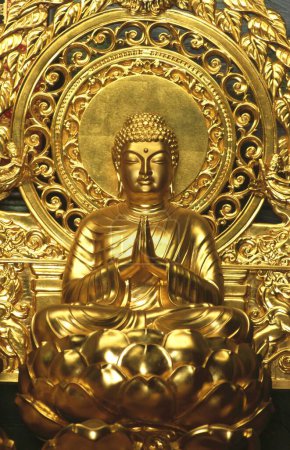 statue of buddha in gold at the gompa at shanti stupa in leh , ladakh , Jammu and Kashmir , india