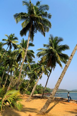 Téléchargez les photos : Kabana Beach à Goa ; Inde - en image libre de droit