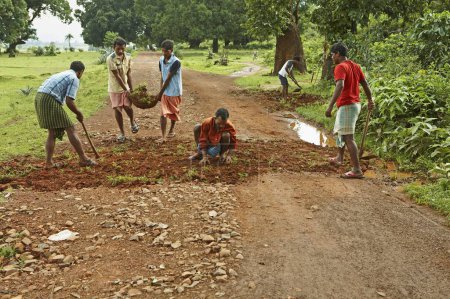 Photo for Rural youth engaged in road repairing social initiative started by NGO Chinmaya Organization of Rural Development CORD, Deuladiha, Orissa, India - Royalty Free Image