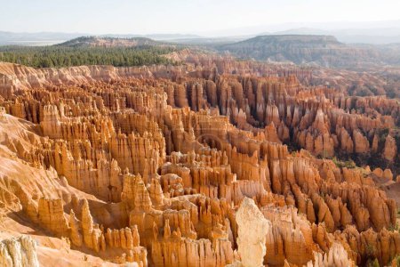 Foto de Hoodoos; pilar de rocas hecho por la erosión en el parque nacional Bryce Canyon; Estados Unidos de América - Imagen libre de derechos