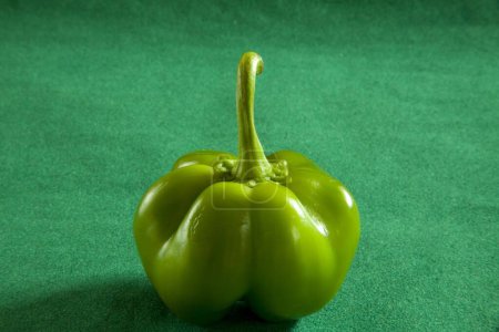 Gemüse, Gewürz Chili grün Capsicum Shimla Mirch Capsicum annuum Capsicum frutescens auf grünem Hintergrund