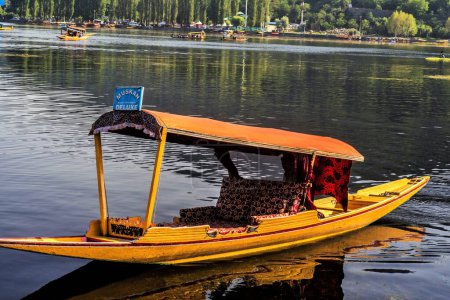 Shikara in Dal Lake, Srinagar, Kashmir, India, Asia