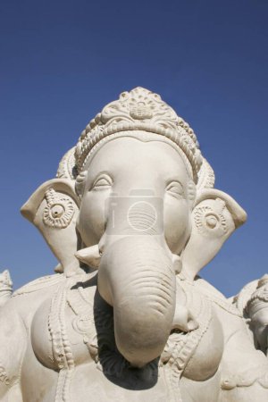 Photo for Freshly moulded white idol of lord Ganesh elephant headed god kept in sunlight to dry ; Pune ; Maharashtra ; India - Royalty Free Image