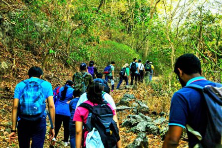 Téléchargez les photos : Trekking, forêt SGNP, Borivali, Mumbai, Maharashtra, Inde, Asie - en image libre de droit