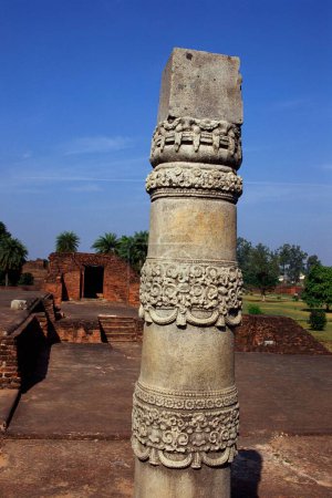 Téléchargez les photos : Colonne de pierre élégamment sculptée Chaitya Sitenoiz, complexe universitaire Nalanda, Nalanda, Bihar, Inde - en image libre de droit