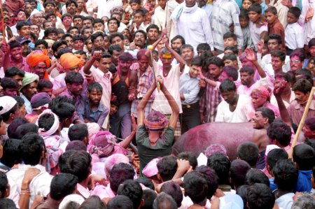 Téléchargez les photos : Les gens regardent le sacrifice traditionnel du buffle au festival traditionnel de la déesse hindoue Laxmi yatra, village de Bassapur, district de Belgaum, Karnataka, Inde - en image libre de droit