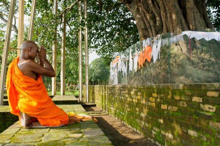 Téléchargez les photos : Moine priant sur le site bouddhiste, Sarasvati, Uttar Pradesh, Inde - en image libre de droit