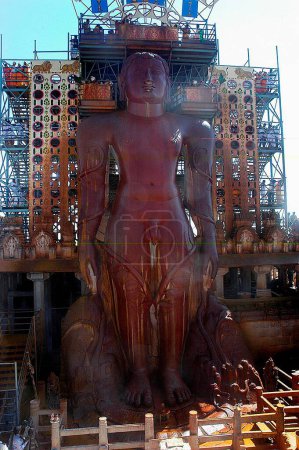 Photo for Mahamasthakabisheka celebration of 57 feet high statue of lord Bahubali known as Gomateshvara at Sravanabelagola in Hassan district of Karnataka, India - Royalty Free Image