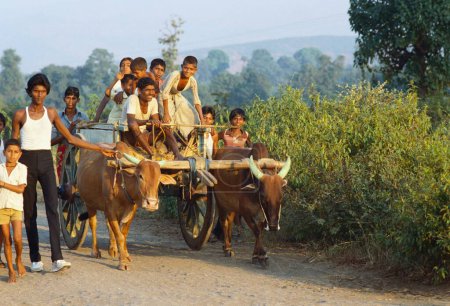 Foto de Carreta de bueyes, un día en la vida de la aldea, la India - Imagen libre de derechos