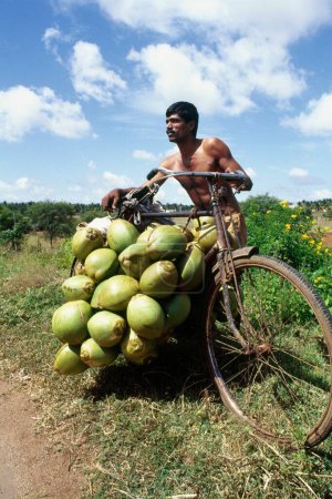 Téléchargez les photos : Tender coconut seller with bicycle, India - en image libre de droit