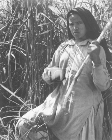 Foto de Viejo vintage al aire libre retrato blanco y negro principios de 1900 plata gelatina tonificada impresión india mujer India - Imagen libre de derechos
