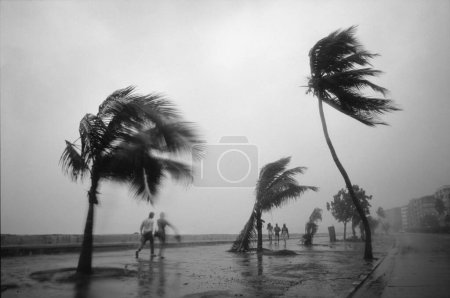 Photo for Monsoon on Marine drive , Bombay Mumbai ,  Maharashtra , India - Royalty Free Image