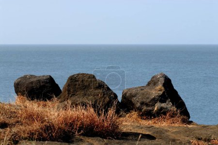Photo for Black rocks and dry grass with blue water of Arabian sea at Harihareshwar Beach ; Konkan coast ; District Raigad ; Maharashtra ; India - Royalty Free Image