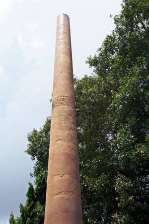 Photo for Ashoka Pillar in Allahabad Fort, Allahabad, Uttar Pradesh, India - Royalty Free Image