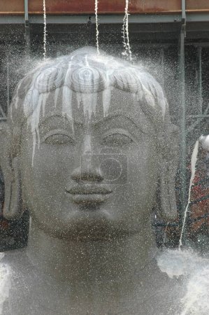 Pouring milk on head of 58.8 feet monolithic Statue of jain saint Gomateshwara Lord Bahubali in mahamastakabhisheka head anointing ceremony ; Vindhyagiri hill; Sravanabelagola ; Karnataka ; India