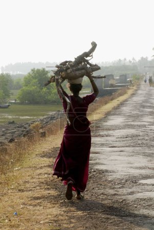 Photo for Woman carrying heavy wooden log on her head, silhouette, the wood to be used as fuel for cooking food at Bagmandla near Harihareshwar, District Raigad, Konkan region, Maharashtra, India - Royalty Free Image