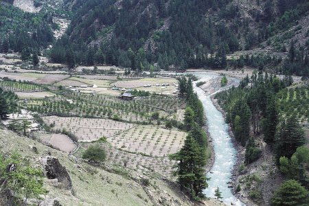 Téléchargez les photos : Vergers de pommes ; rivière Baspa ; vallée de la Sangla ; Himachal Pradesh ; Inde - en image libre de droit