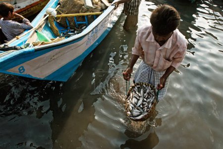 Foto de Pescador lleva pescado en cesta a Royapuram, Madras, Chennai, Tamil Nadu, India - Imagen libre de derechos