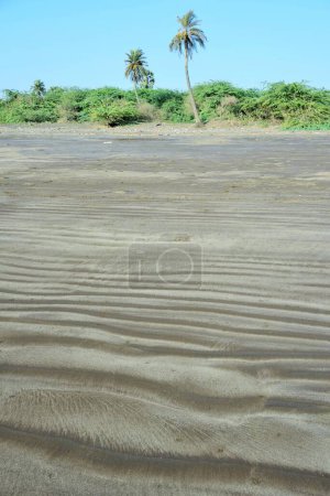 Foto de Bhagal Beach, Valsad, Gujarat, India, Asia - Imagen libre de derechos