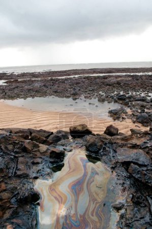 Photo for Oil washed ashore due to container ship chitra colliding in sea Bombay Mumbai , Maharashtra , India - Royalty Free Image