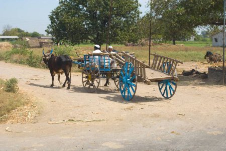 Photo for Bullock carts on road of shingnapur ; Nasik ; Maharashtra ; India MR704 - Royalty Free Image
