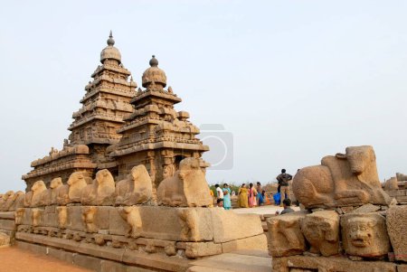 Téléchargez les photos : Le temple du rivage à Mahabalipuram ; Tamil Nadu ; Inde - en image libre de droit