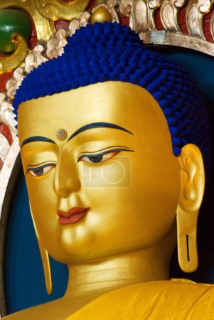 Estatua de oro de buddha en el monasterio tibetano namgyal en mcleodganj, Himachal Pradesh, India