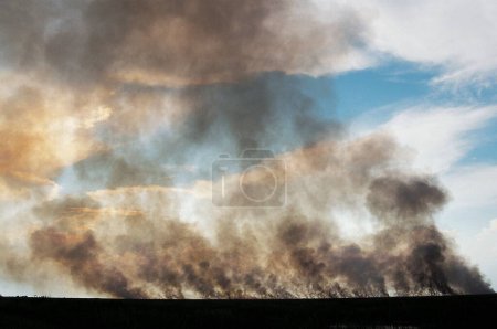 Foto de Incendios forestales; Everglades NP; Florida; Estados Unidos de América - Imagen libre de derechos