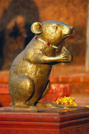 Photo for Golden statue of mouse at ganesh temple , Ganpatipule , District Ratnagiri , Maharashtra , India - Royalty Free Image