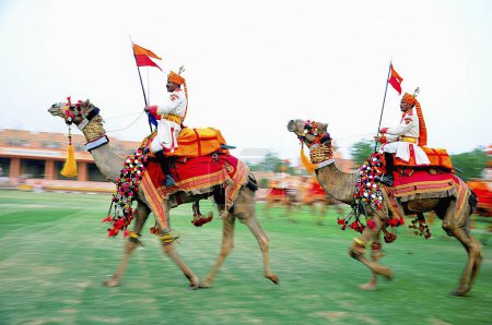 Photo for Camel parade, Jodhpur, Rajasthan, India - Royalty Free Image