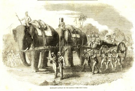 Téléchargez les photos : Mutinerie militaire et communautaire : une batterie d'éléphants vue en marche, Inde - en image libre de droit