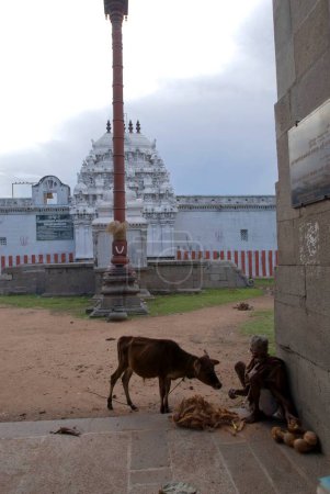 Photo for Pallava period Sundaravarada Perumal temple built in eight century in Uttiramerur ; Tamil Nadu ; India - Royalty Free Image