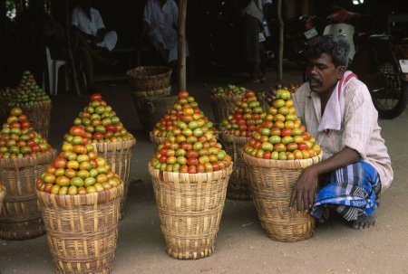 Foto de Vendedor de tomate en el mercado, kerala, India - Imagen libre de derechos