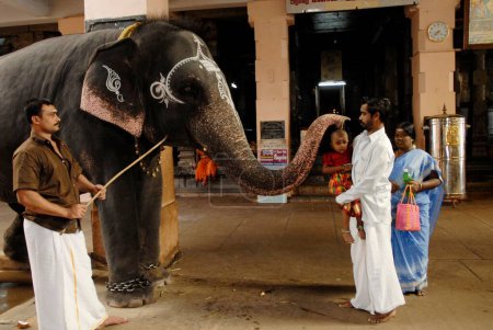 Photo for Devotees receiving blessings from temple elephant, Swamimalai, Tamil Nadu, India - Royalty Free Image