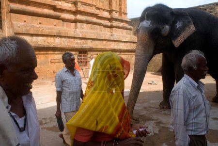 Téléchargez les photos : Éléphant dans Brihadeshwara Temple Complex Aussi appelé Big Temple Construit au 10ème siècle après JC par Raja Raja Chola Dédié au Seigneur Shiva à Thanjavur, Tamil Nadu, Inde - en image libre de droit