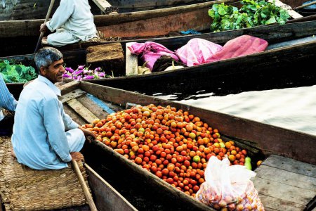 Téléchargez les photos : Marché aux légumes, Lac Dal, Srinagar, Cachemire, Inde, Asie - en image libre de droit