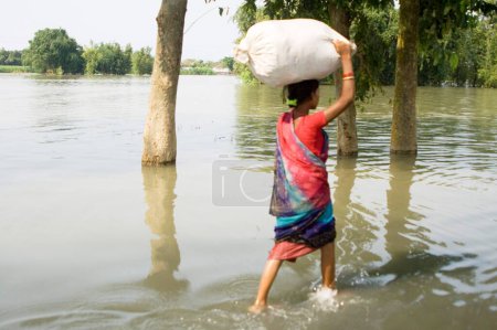 Photo for Kosi river flood in year 2008 which mostly made suffered below poverty line people in Purniya district ; Bihar ; India - Royalty Free Image