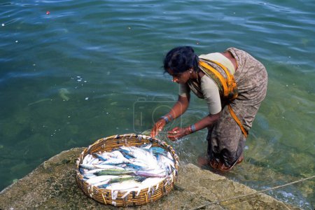 Photo for Woman with fish in basket, Port Blair, Andaman Islands, India - Royalty Free Image