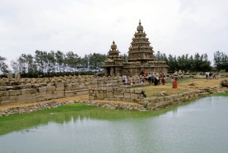 Téléchargez les photos : Temple Shore, Mahabali Puram, Tamil Nadu, Inde - en image libre de droit