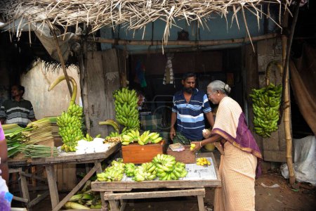 Photo for Fruit seller, Thanjavur, Tamil Nadu, India - Royalty Free Image