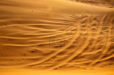 Reifenspuren von Jeeps auf Sanddünen Rajasthan Indien Asien