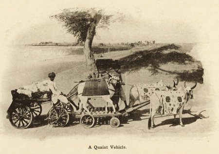 Foto de Un vehículo pintoresco Tales carros de buey ahora se pierden en la antigüedad; Dibujado a principios de 1900; Saurashtra; Gujarat; India - Imagen libre de derechos