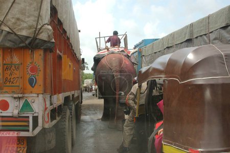 Foto de Elefante con Mahut en la autopista expreso oriental cerca de Mulund, Bombay Mumbai, India - Imagen libre de derechos