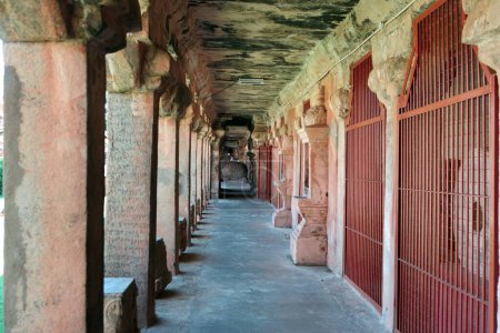 Row of stone pillars brihadishwara temple tamilnadu India Asia
