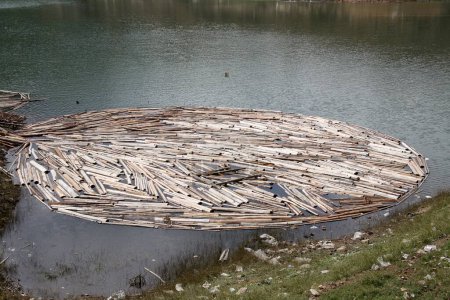 Grumes de bois flottant sur l'eau conservées pour assaisonnement près du point d'écho au lac Munnar ; Kerala ; Inde